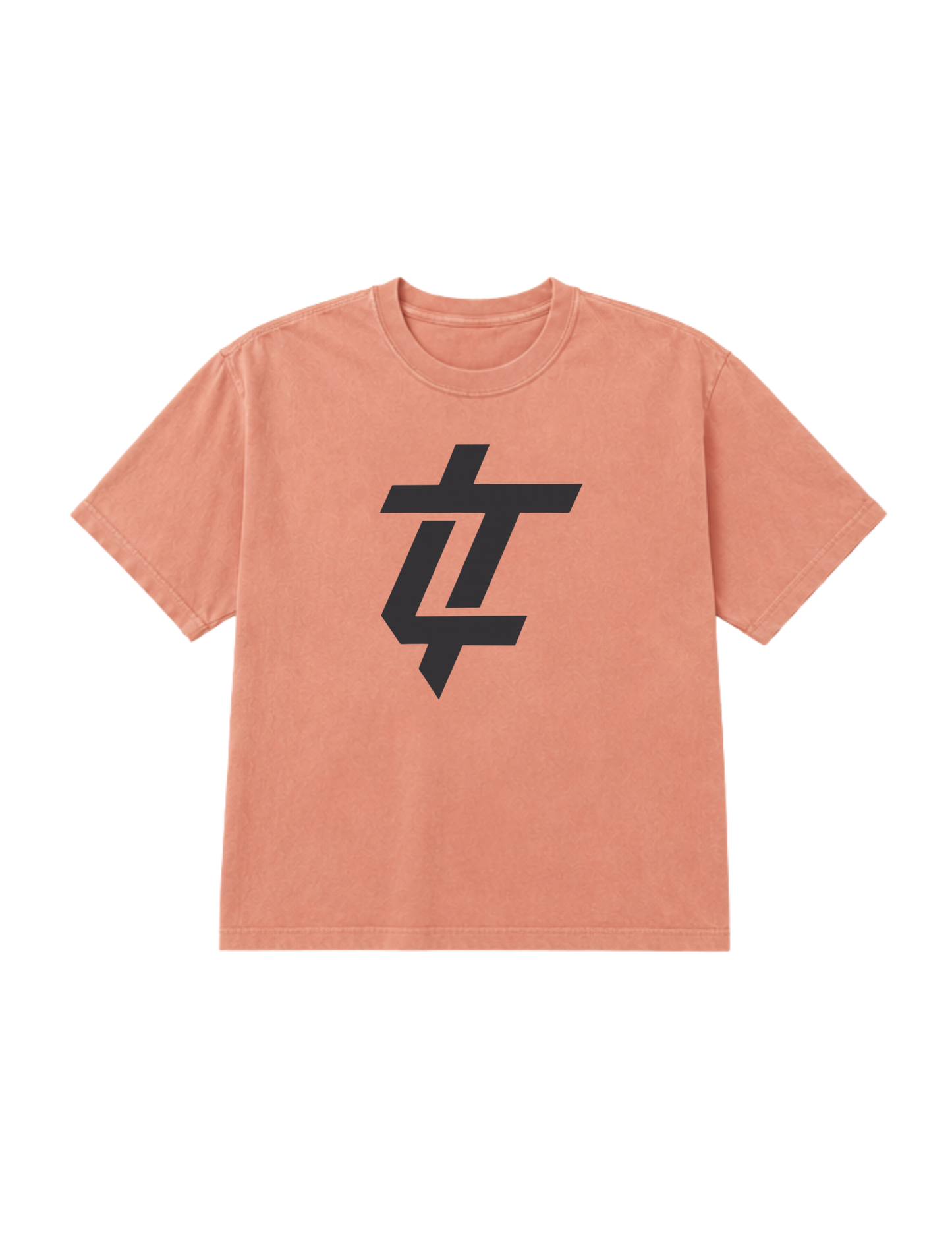 Landmark Teen Logo Short Sleeve